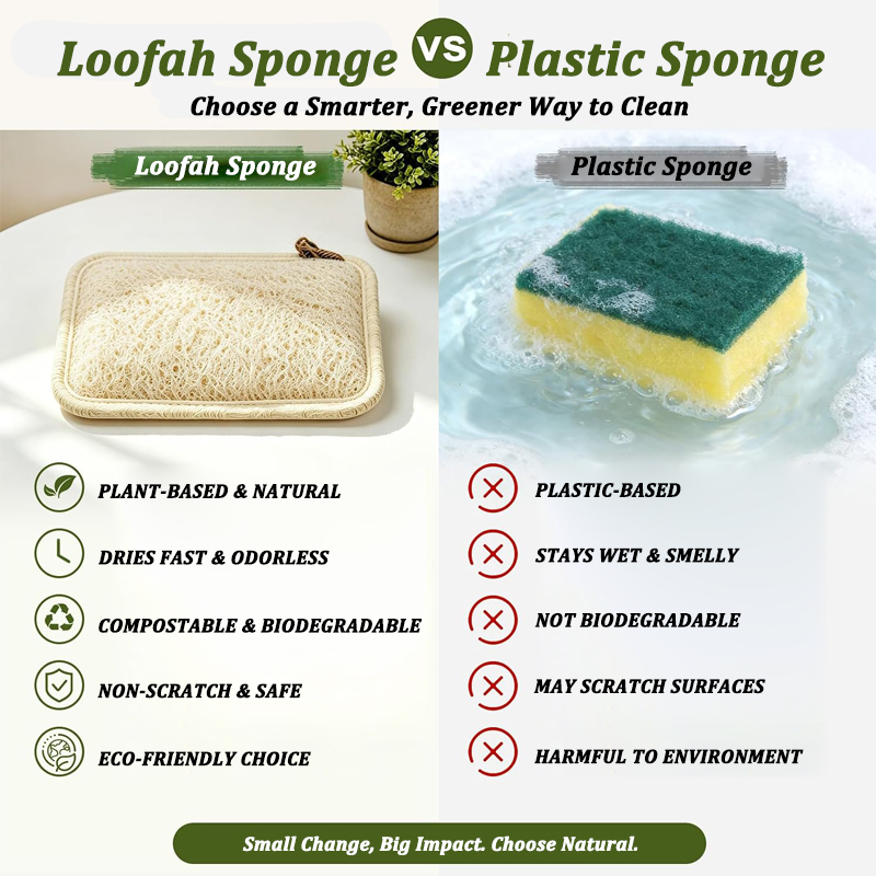 Natural Loofah Sponge Scrubber - Body Loofah Natural review and price