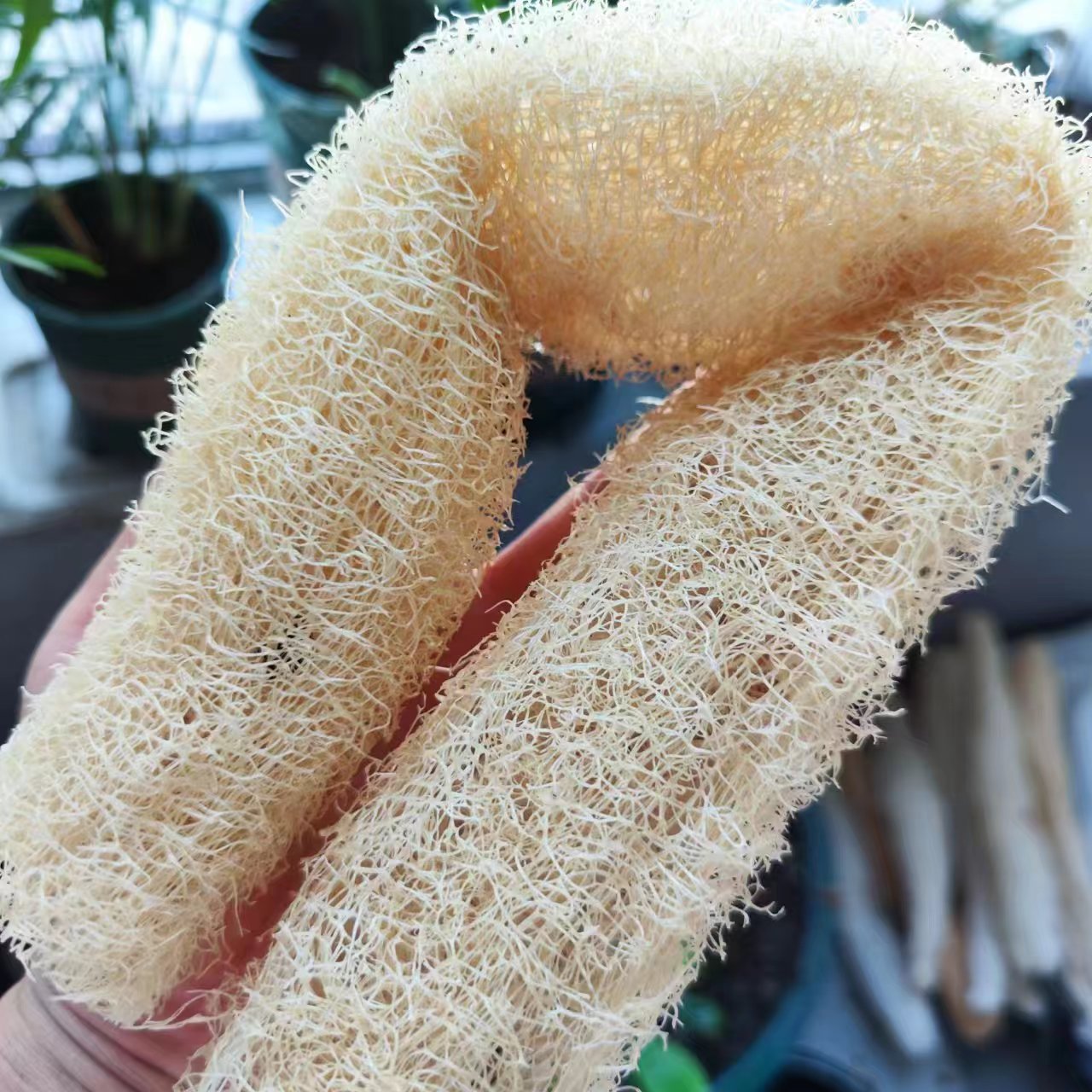 Marvelous Loofah Sponge Versat - Body Loofah Natural review and price